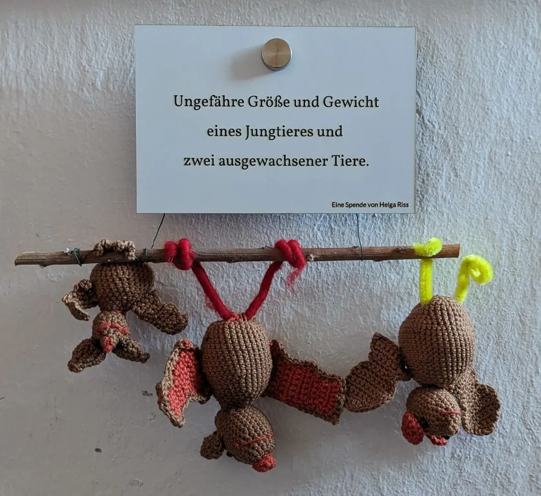 Kunststoffschild Graviertes Kunststoffschild mit Fledermäusen aus Stoff