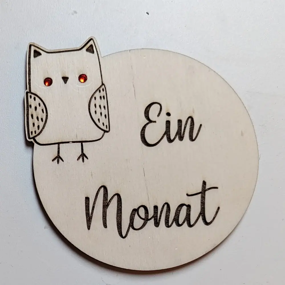 Baby Milestone Baby Milestine mit Eule und Aufschrift "Ein Monat"